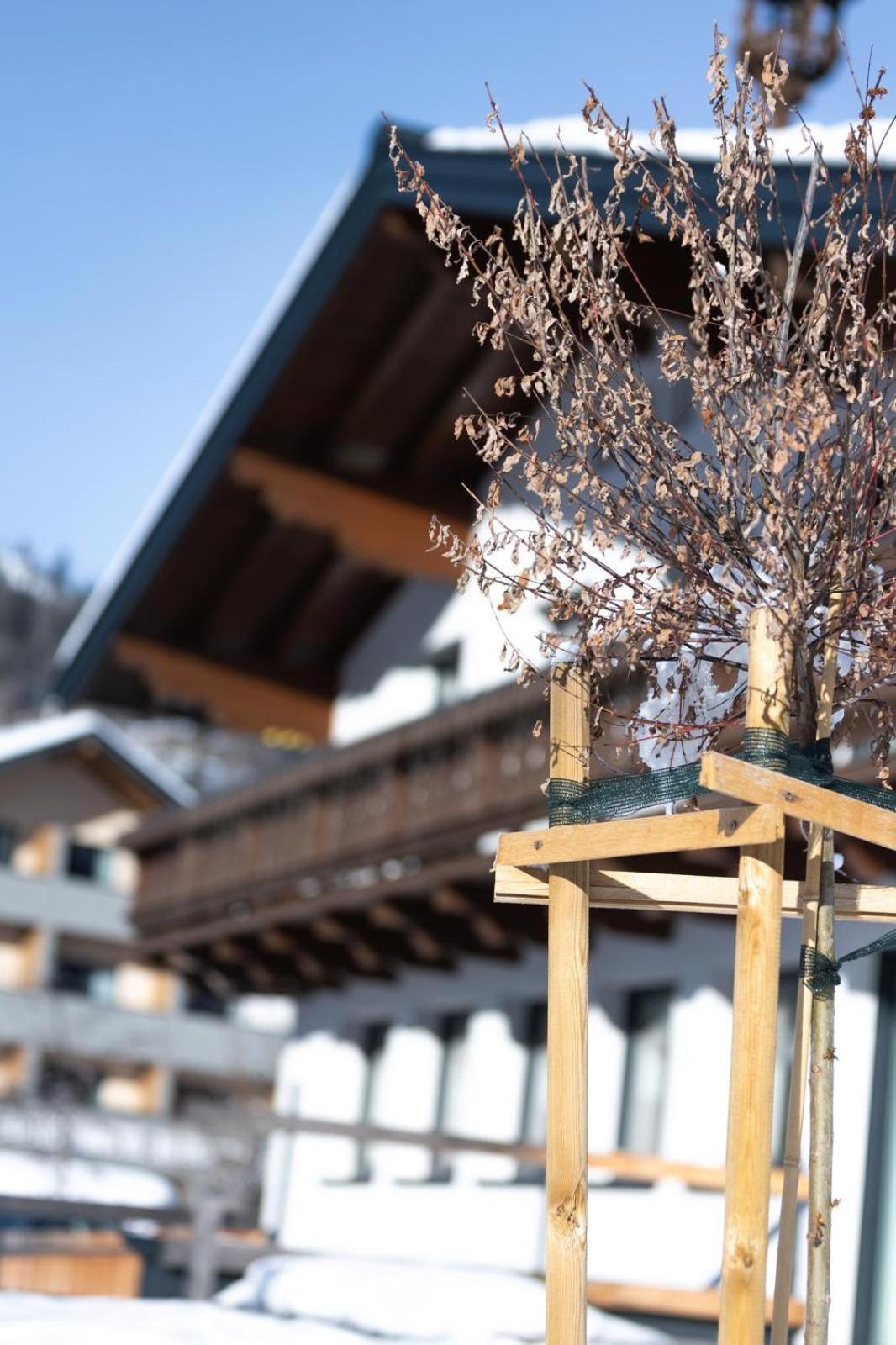 Landhaus Riepler Wagrain Esterno foto